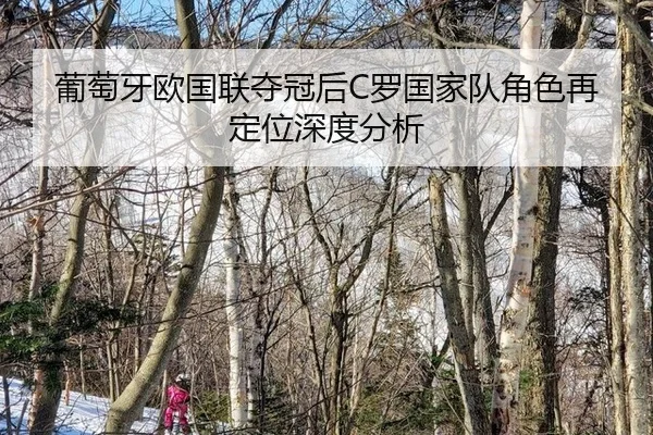 pu-tao-ya-ou-guo-lian-duo-guan-hou-luo-guo-jia-dui-jue-se-zai-ding-wei-shen-du-fen-xi-2-462.jpg